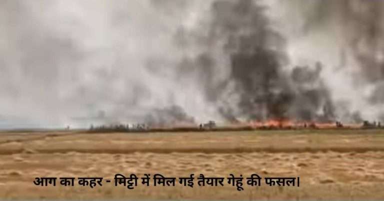 जलते खेत, बिलखते किसान: देवरिया में अब तक 300+ एकड़ गेंहू की फसल हुई राख!