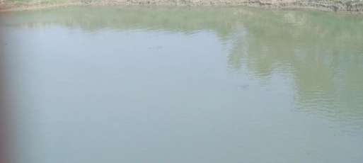 gorakhpur rapti nadi drowning incident two teenagers