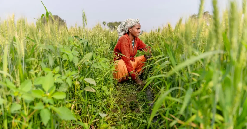 स्वच्छ भारत मिशन — उपलब्धियाँ और विसंगतियाँ